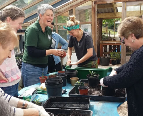 Bristol Intergenerational Peace Garden