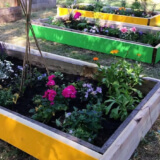 East London Peace Garden