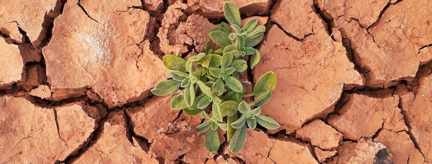 Standing on the shoulders of giants