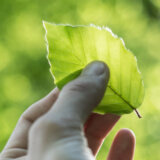 Sustainability can’t wait