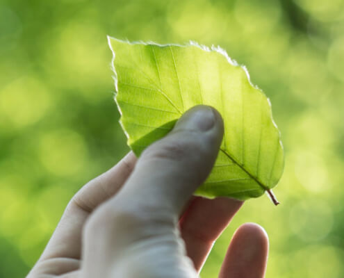 Sustainability can’t wait