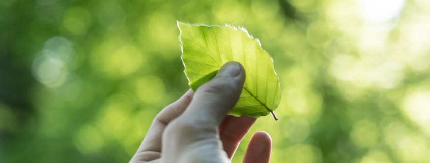 Sustainability can’t wait